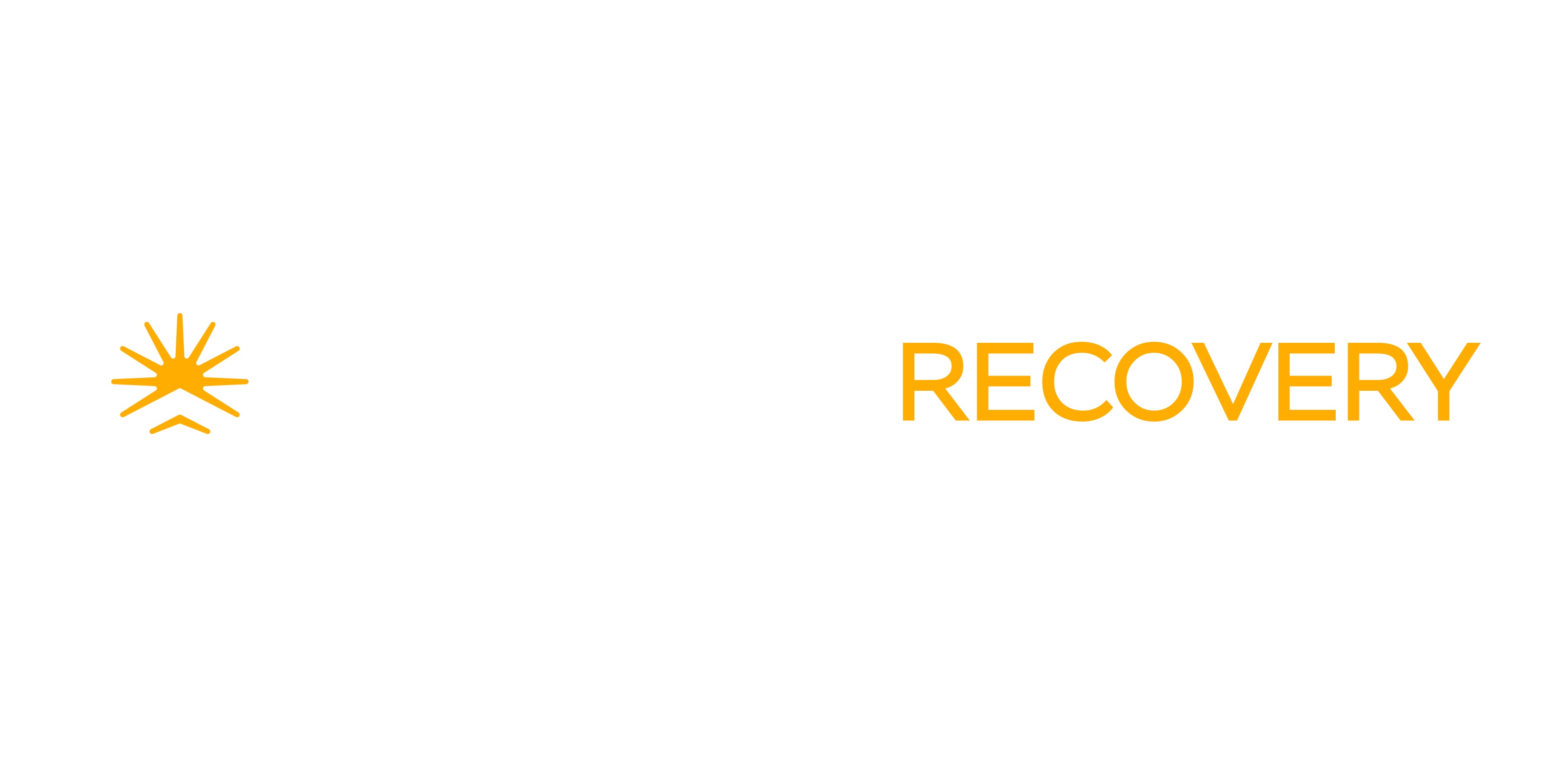 Guardian Recovery